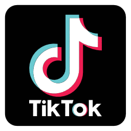 TikTok视频脚本生成