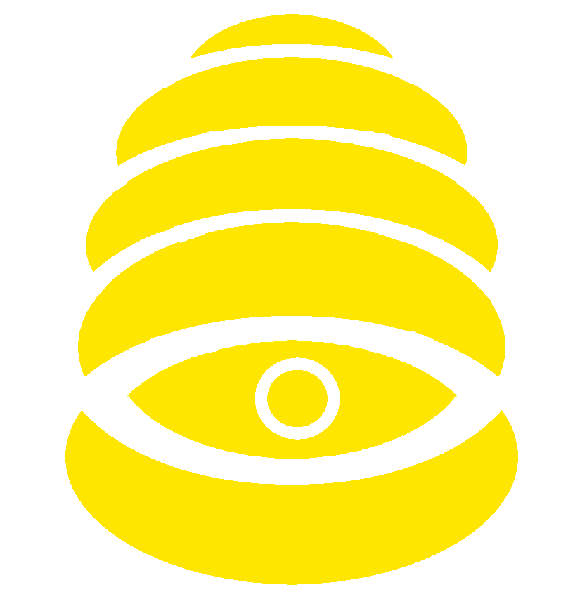 The Hiveeyes Project