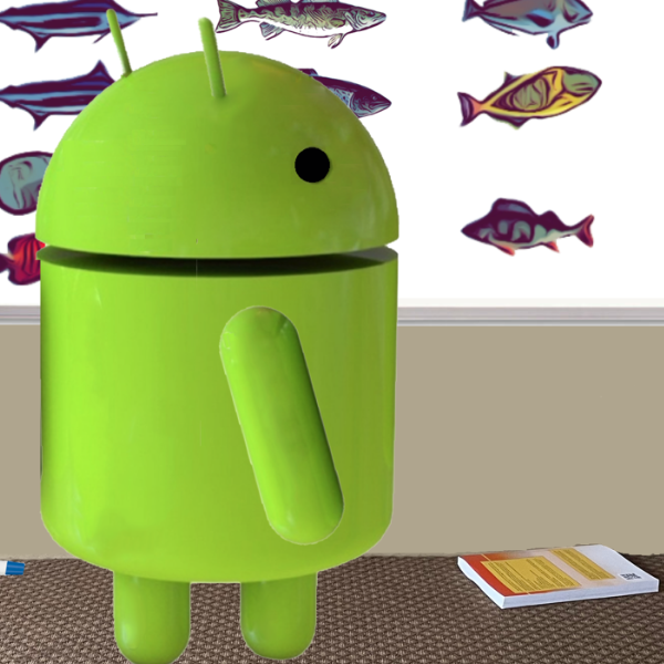 newandroidbook