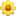 daisySMS