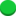 Spot