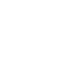 Metica