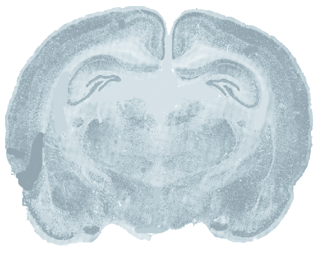 Brain Image Library