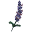 sagecontinuum