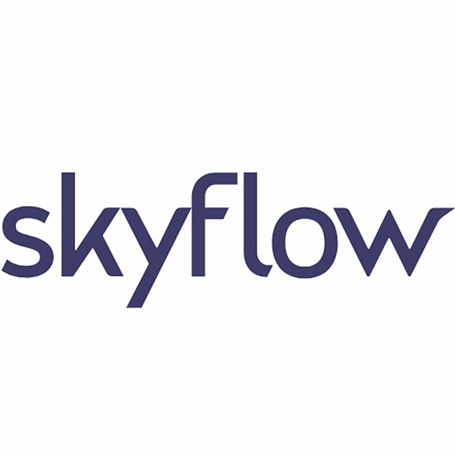 skyflow金融科技数据隐私保险