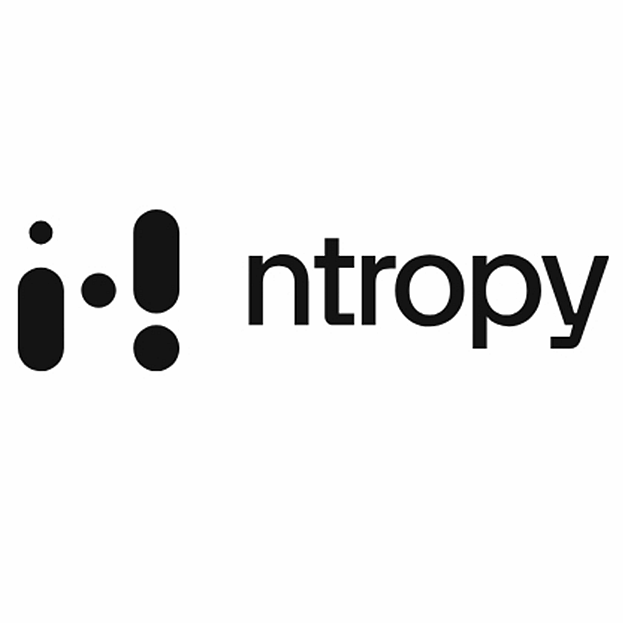 金融语言模型-ntropy