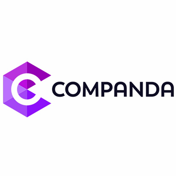 Companda 客户分析API