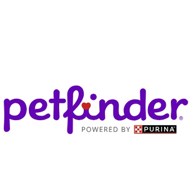 宠物领养服务【Petfinder】