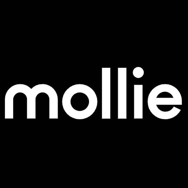 企业资金管理服务-Mollie