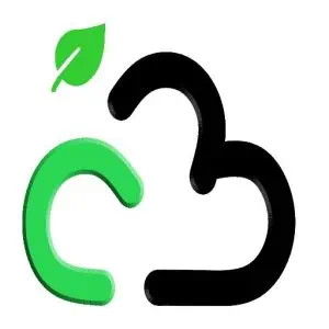 TheCodeBuzz