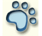 PAWS - Protection of Animals in Wakefield Society