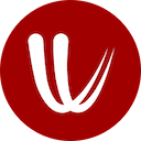 Windy.com/