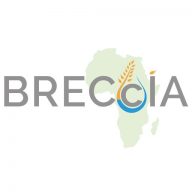 gcrf-breccia