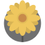 Blossom