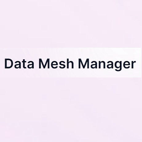 data mesh manager